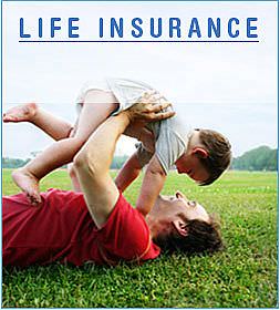 Term Life Insurance what is? get Quotes Online 15 secs from Leading Uk Insurers.