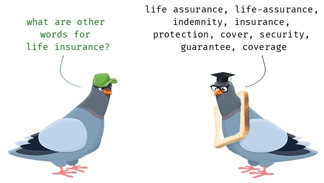 other names for 'Life Assurance Policy' & 'Life Insurance Policy' 