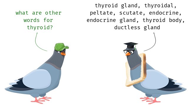 under-active thyroid symptom review