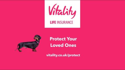 Vitalitylife Stanley The Dachschund